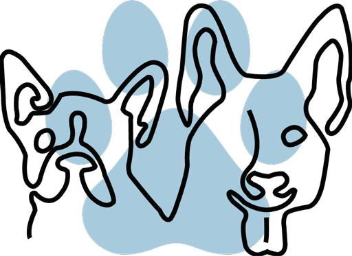 Logo de la pension canine à Pluduno près de Dinan Le Royaume du Phoenix