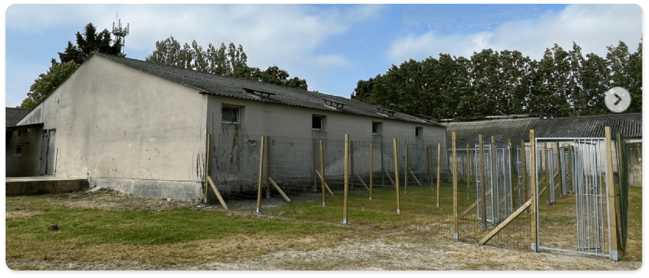 Image de la pension canine Le Royaume du Phoenix à Pluduno