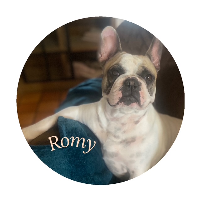 Romy