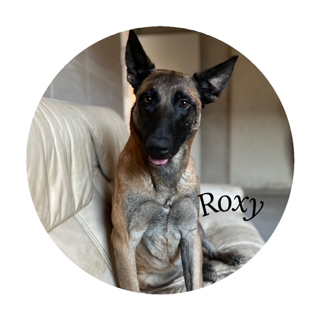 Roxy