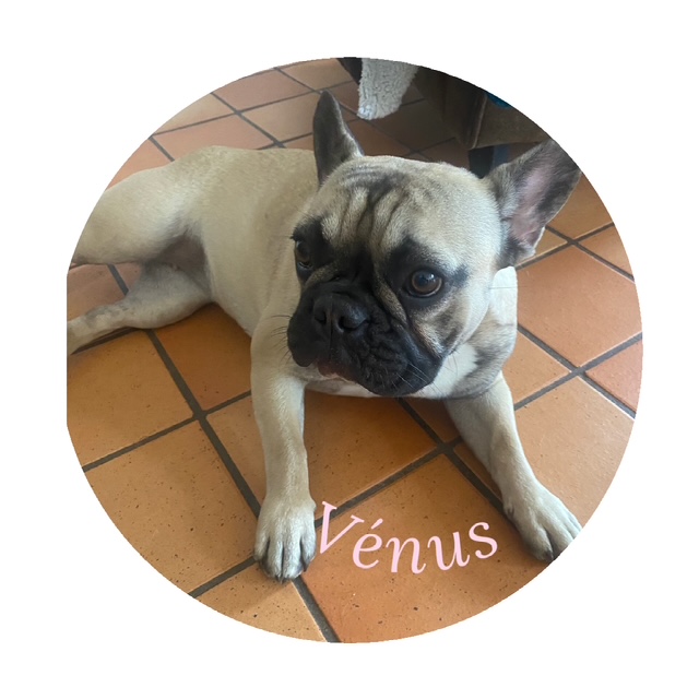 Vénus